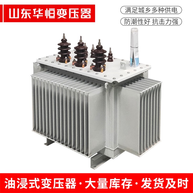 S13-10000/35仁寿仁寿仁寿油浸式变压器厂家